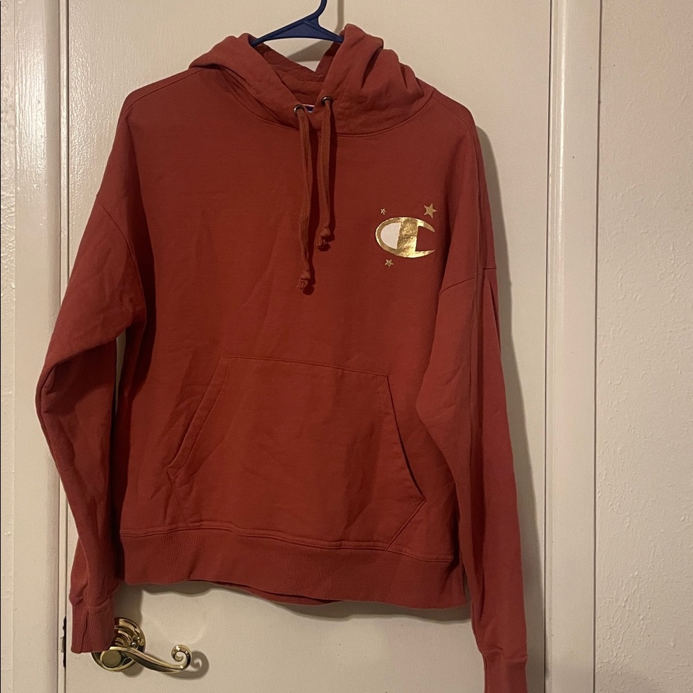 Champion Authentic Logo  FleecePullover Hoodie  Medium , no spots like new Mauve